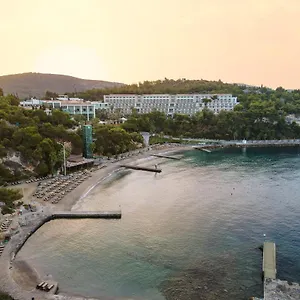 度假村 松树湾旅游度假酒店